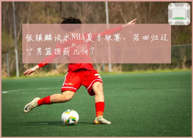 张镇麟试水NBA夏季联赛，若回归辽宁男篮顶薪几何？